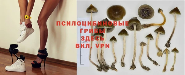 прущая мука Бугульма