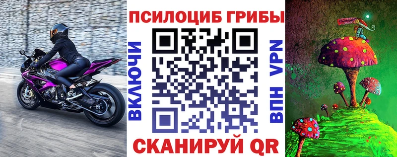 Купить закладки  Кодинск  Псилоцибиновые грибы Psilocybine cubensis 